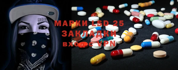 гашик Алексин