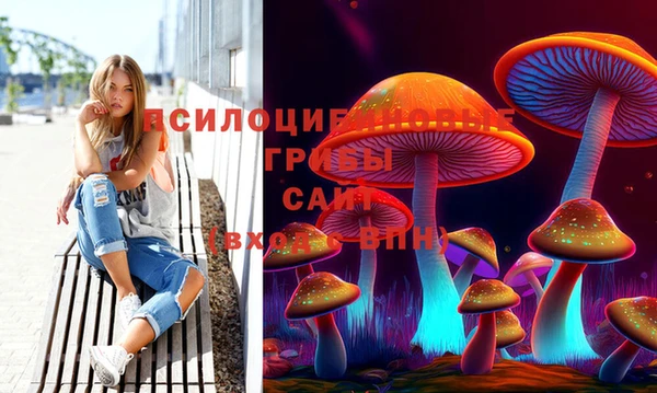 Альфа ПВП Алексеевка