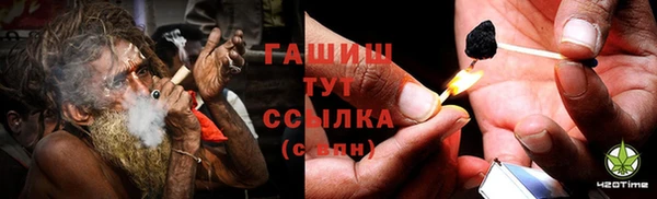гидропоника Алзамай