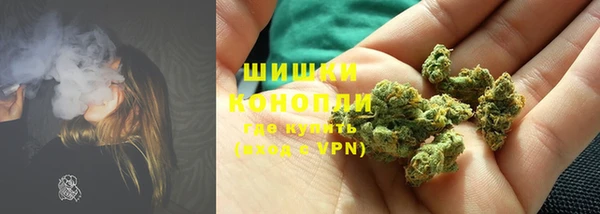 винт Пересвет