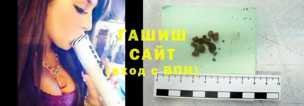 гашик Алексин