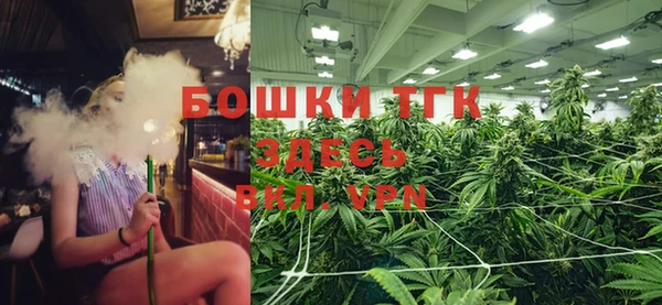 гидропоника Алзамай
