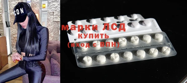 гашик Алексин